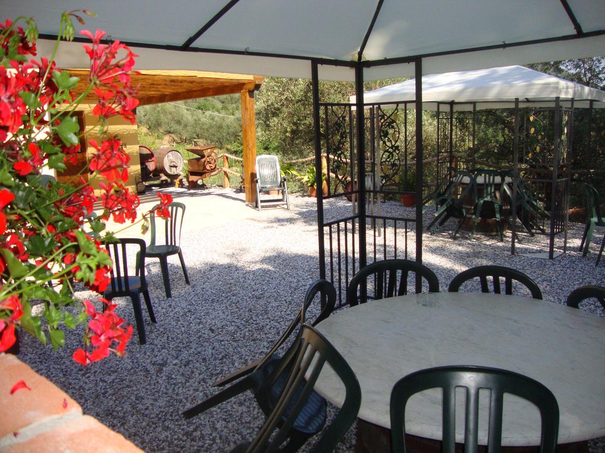 Farm stay La Sarticola *