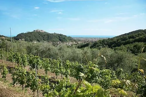 La Sarticola